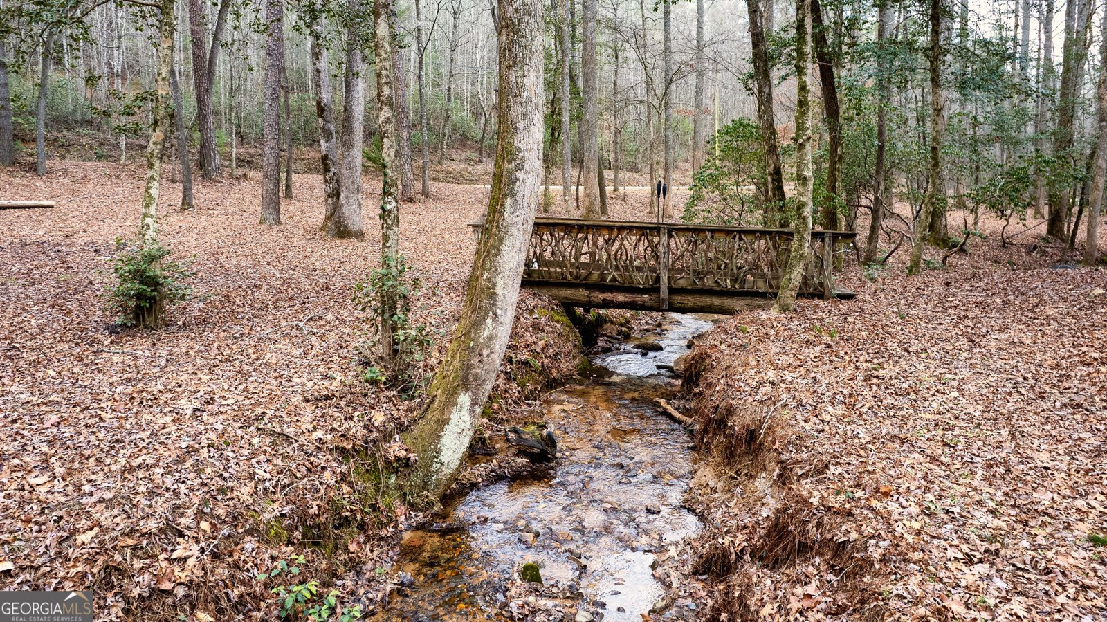 685 Chopped Oak Road Ellijay - Photo 40