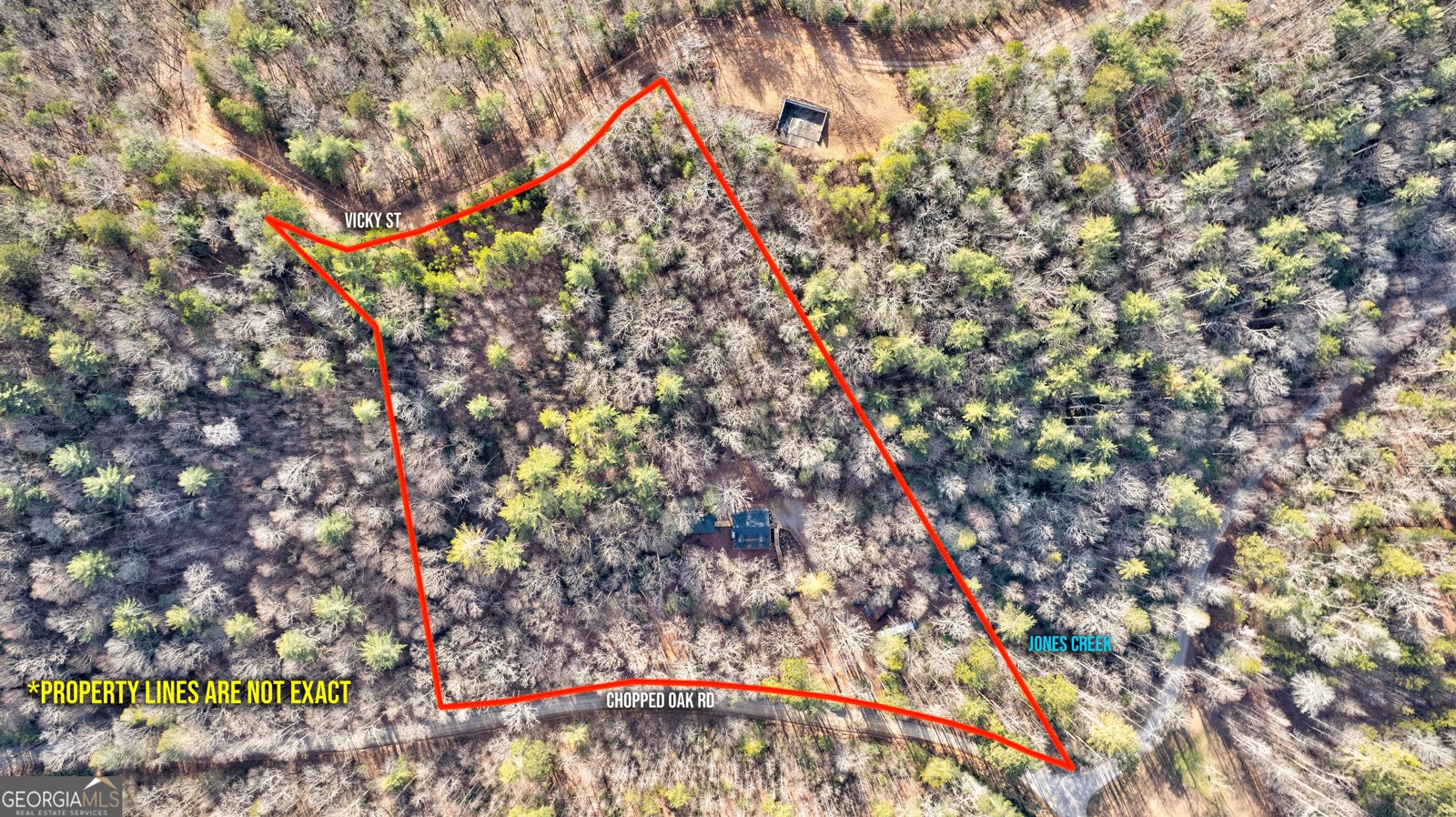 685 Chopped Oak Road Ellijay - Photo 48