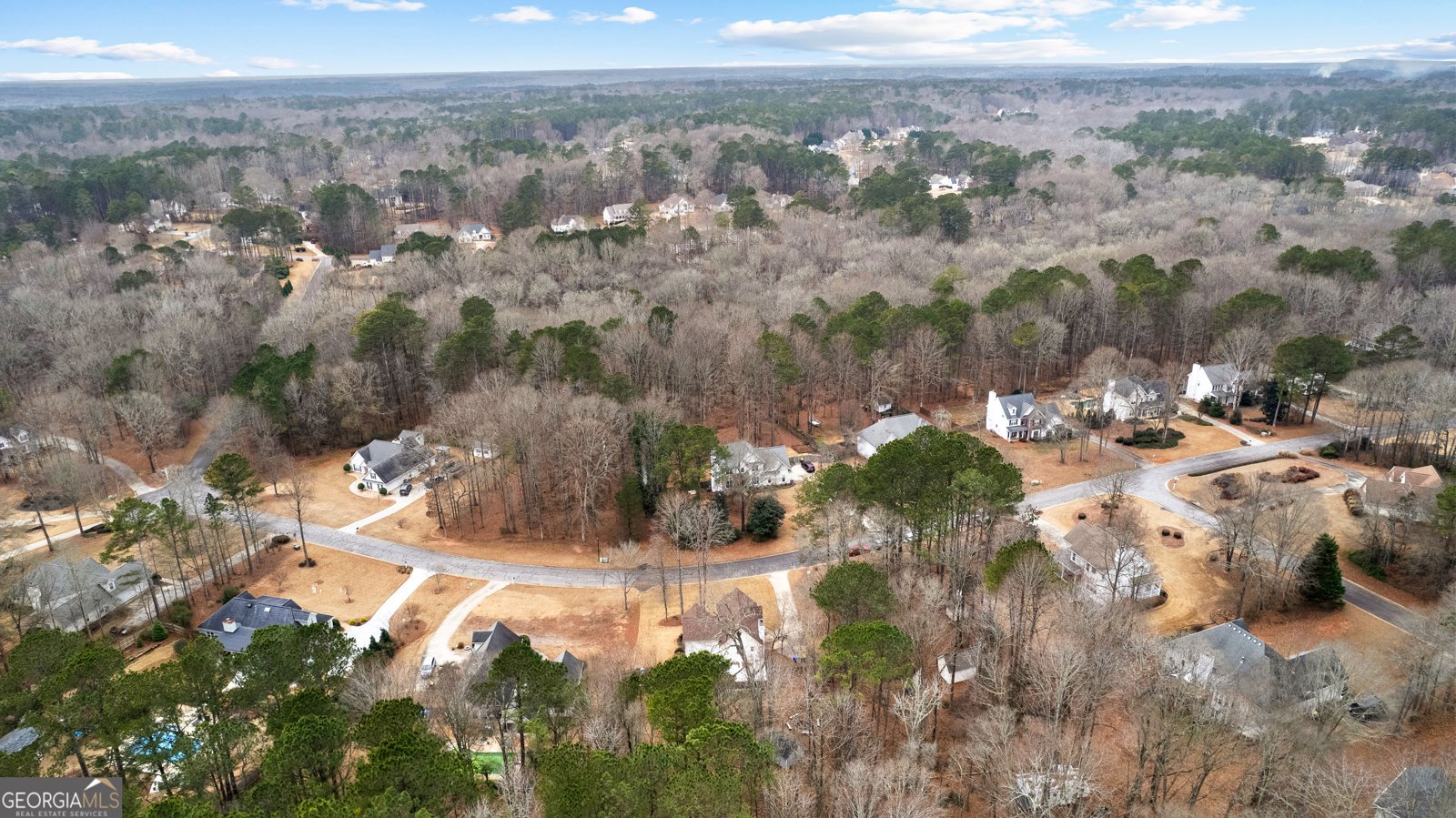 100 Sycamore Way Sharpsburg - Photo 51