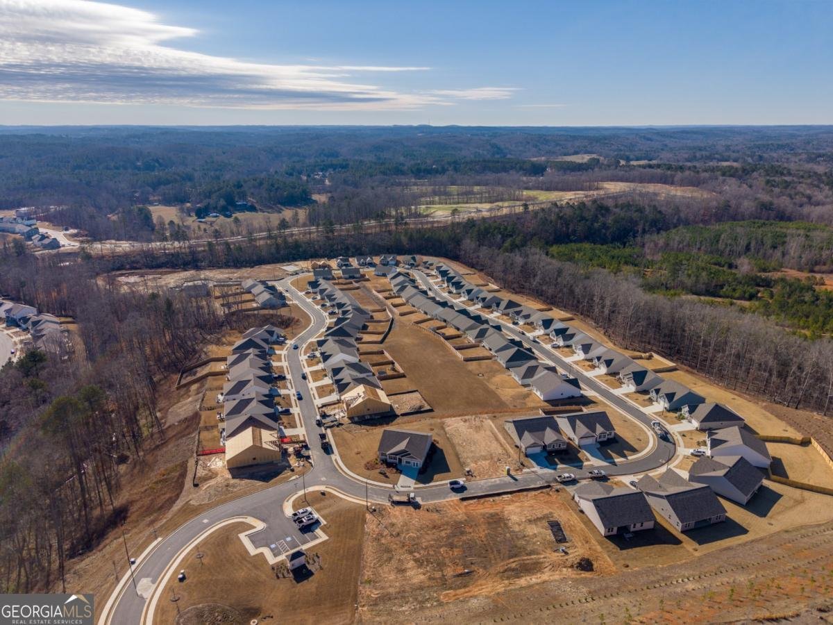49 Majestic Oak Circle Dallas - Photo 19
