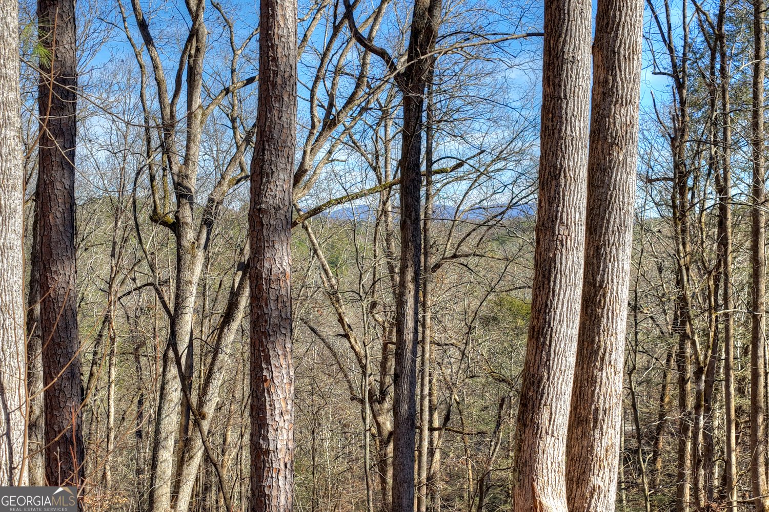 340 Chancel Circle Ellijay - Photo 34