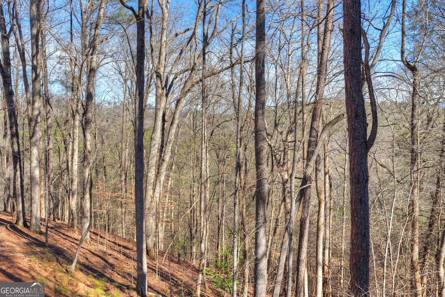 340 Chancel Circle Ellijay - Photo 35