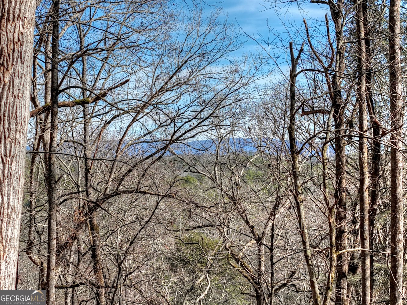 340 Chancel Circle Ellijay - Photo 7