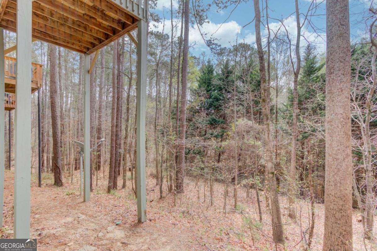 11007 Lorin Way Duluth - Photo 31