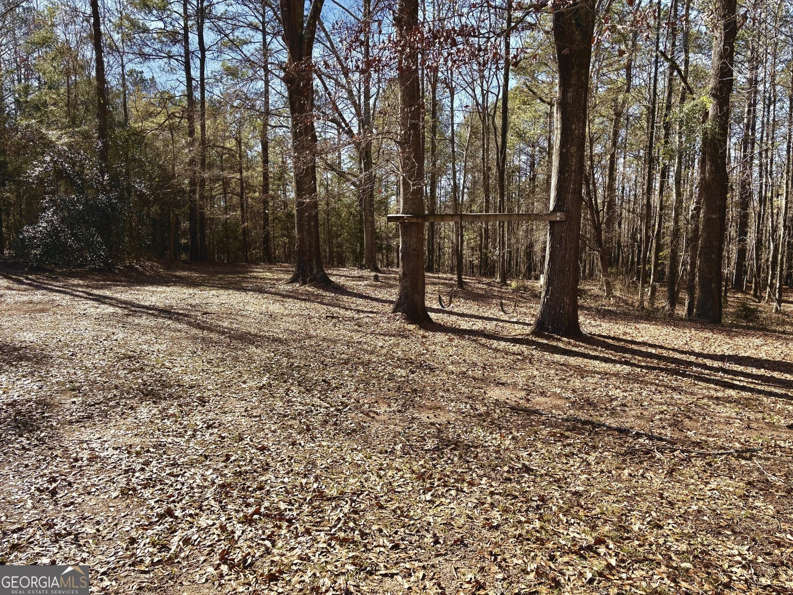 56 John Lovelace Road Lagrange - Photo 8