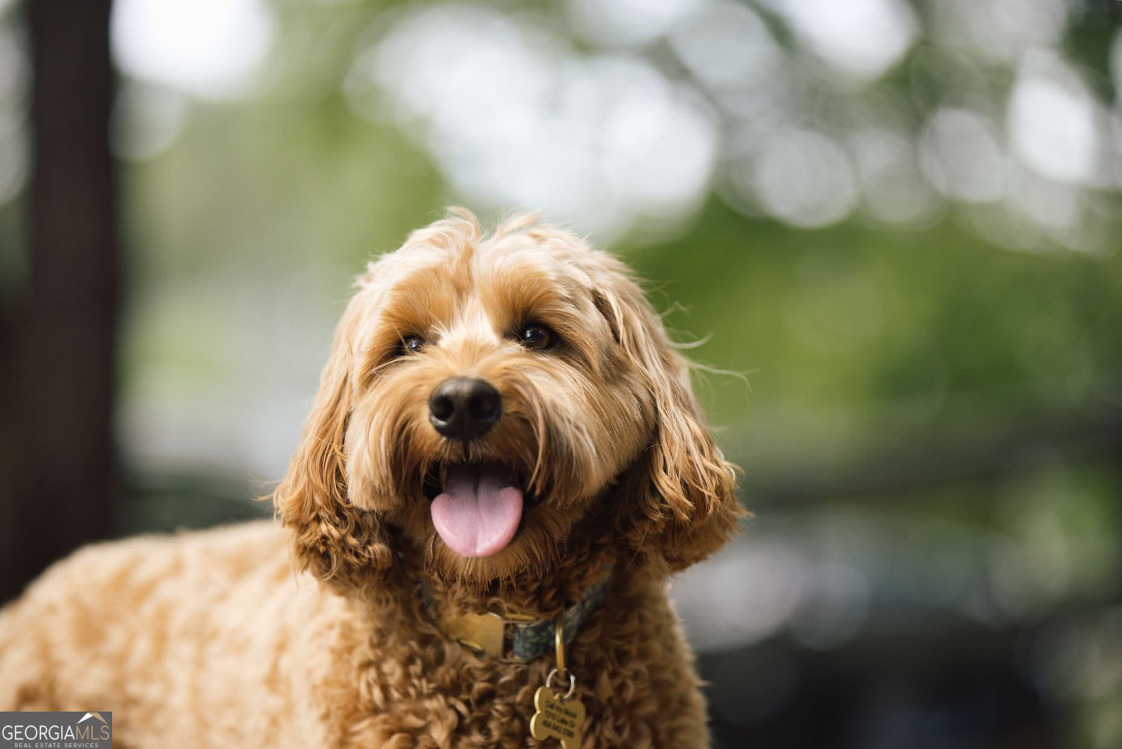 1111 Silverton Drive Greensboro - Photo 57