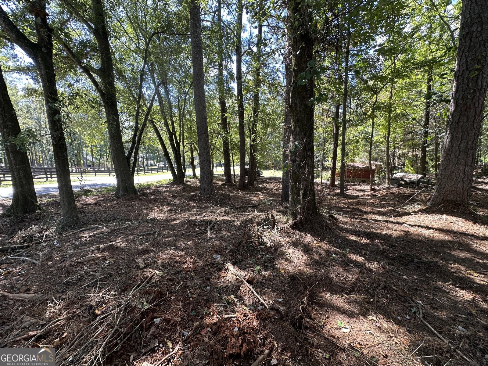 2530 Roper Road Cumming - Photo 7