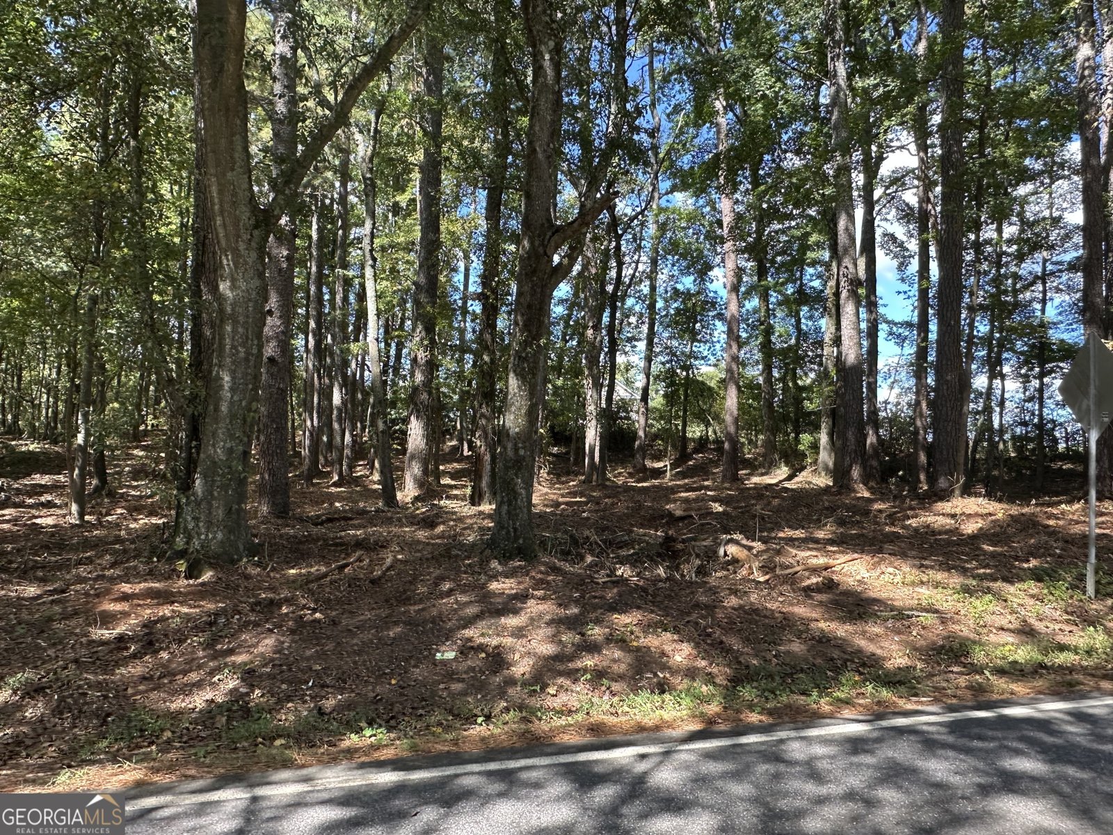 2530 Roper Road Cumming - Photo 8