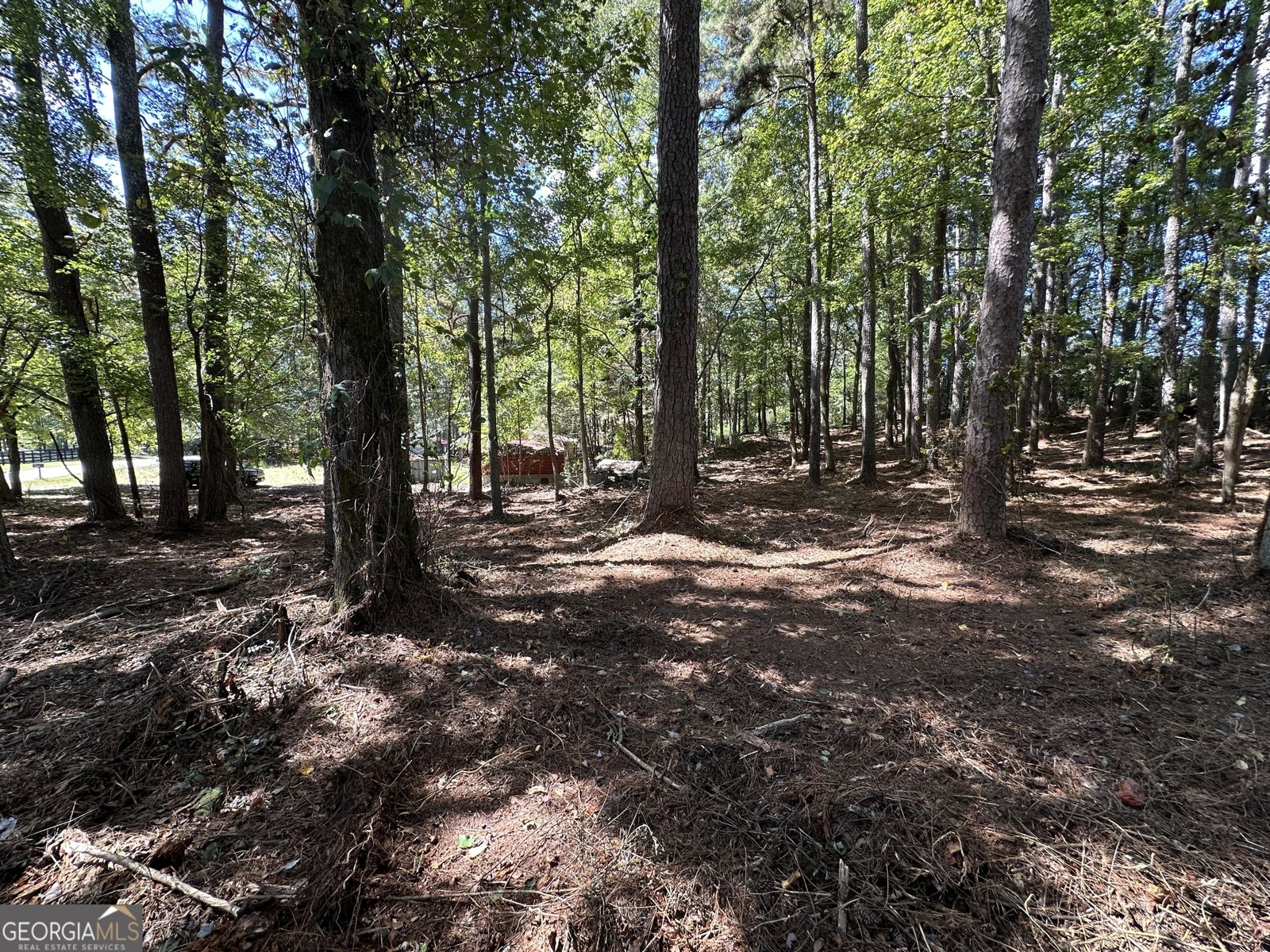 2530 Roper Road Cumming - Photo 9