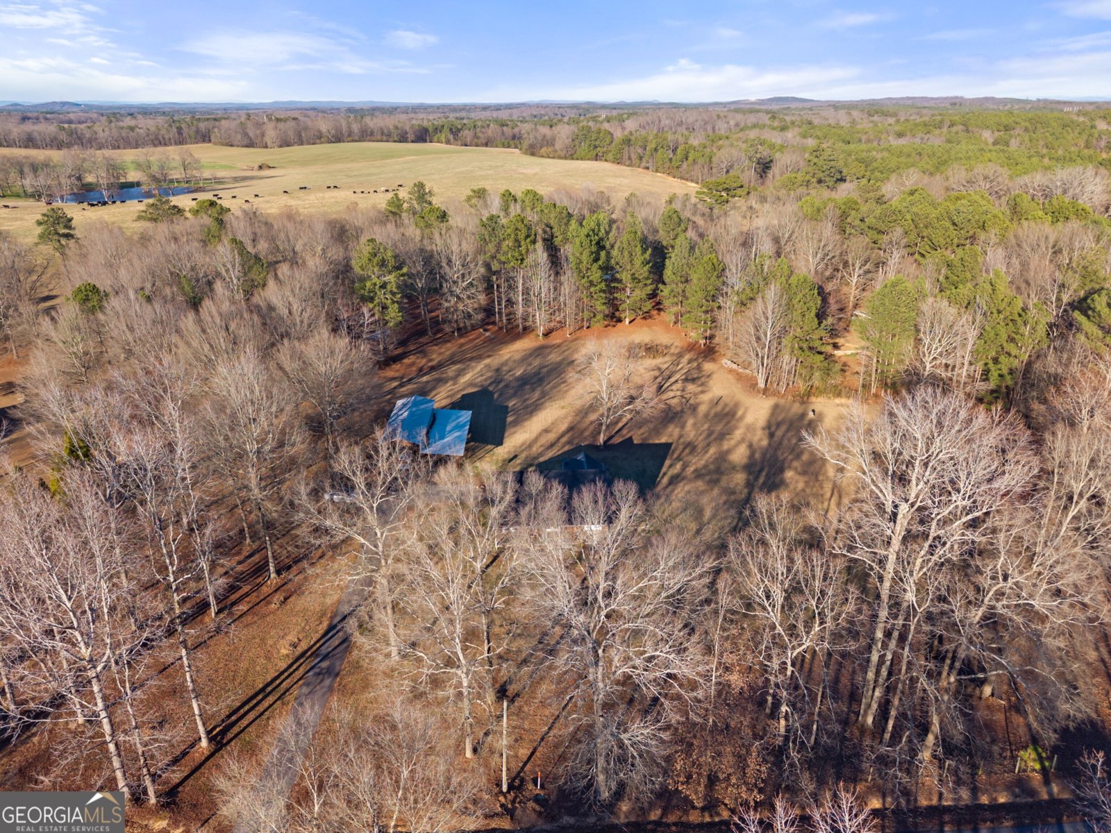 353 Morris Road Silver Creek - Photo 19