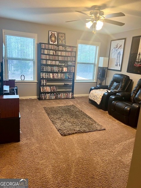 33 White Pine Drive Hamilton - Photo 30