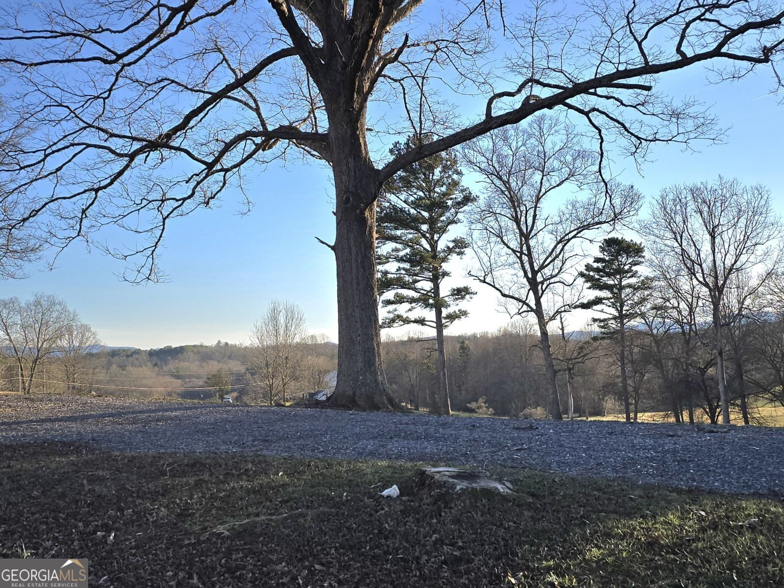 2417 Mobile Road Mc Caysville - Photo 15