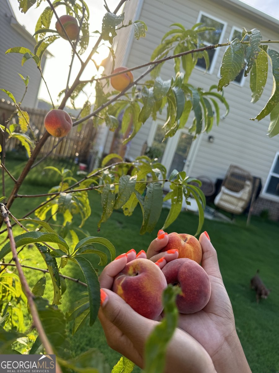 269 Knightsbridge Lane Winder - Photo 11