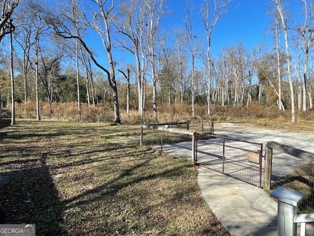 125 Harden Road Statesboro - Photo 7