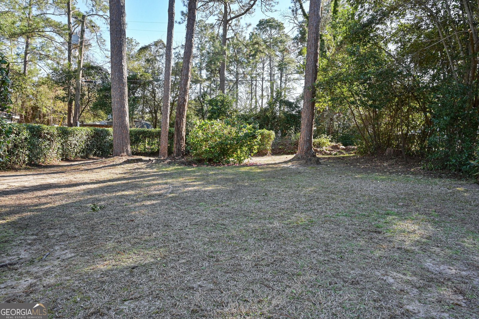 1502 5th Avenue Albany - Photo 28