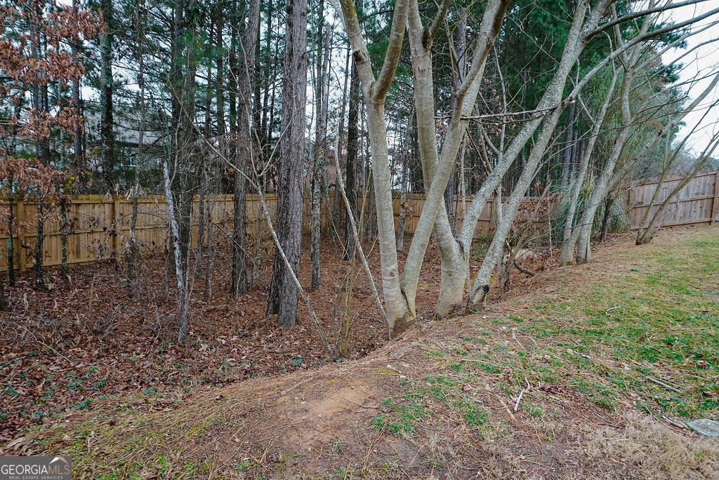 3589 Mulberry Cove Way Auburn - Photo 48