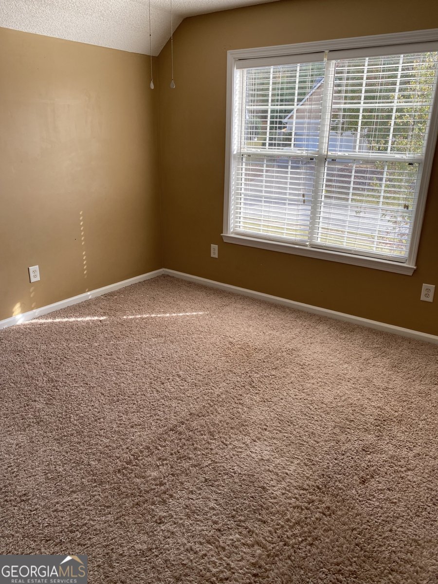 321 Baldwin Court Newnan - Photo 15