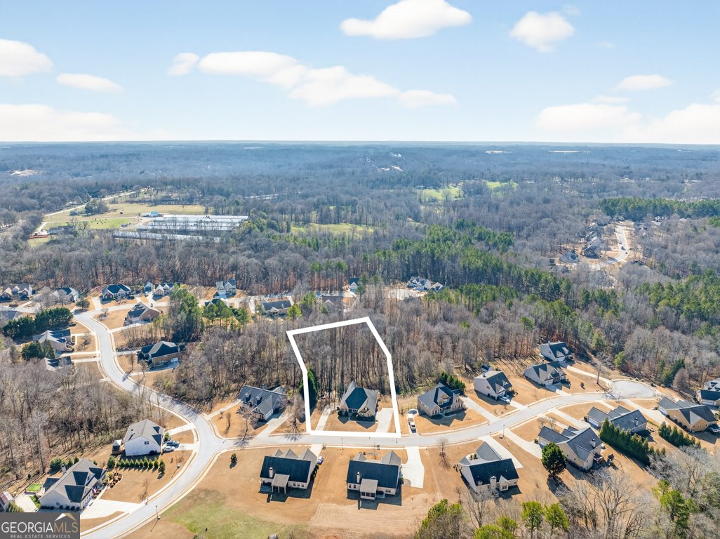 37 Sealy Place Pendergrass - Photo 69