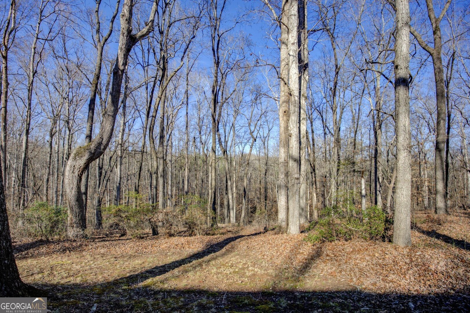 3355 Highway 162 Covington - Photo 47