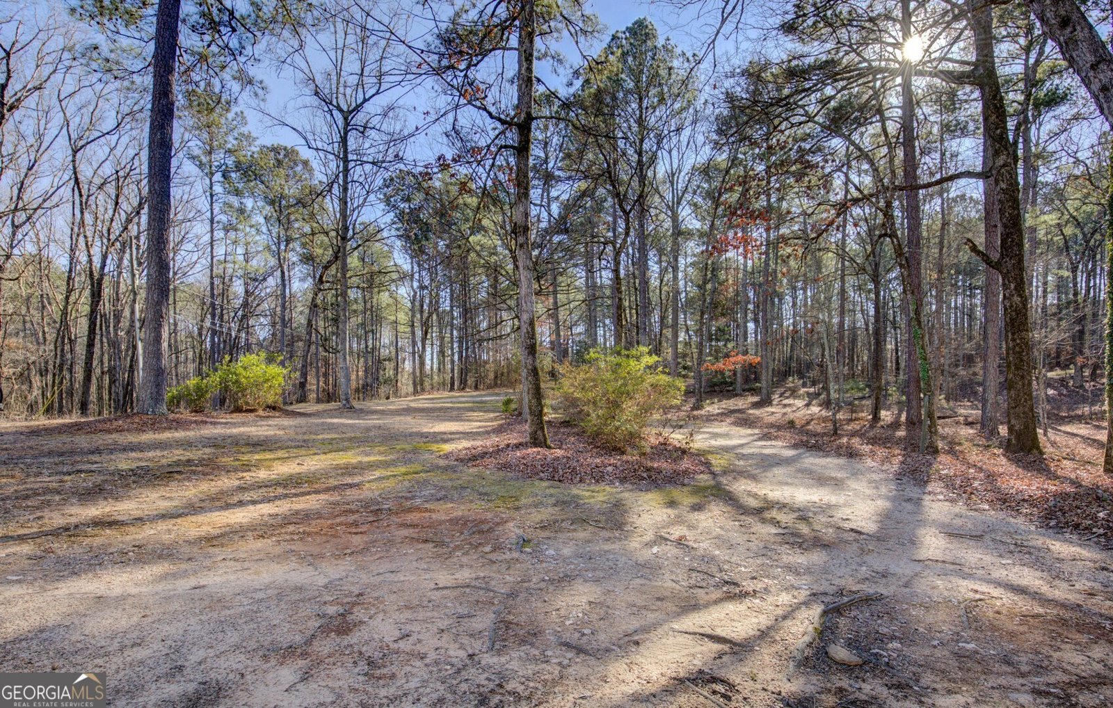 3355 Highway 162 Covington - Photo 49