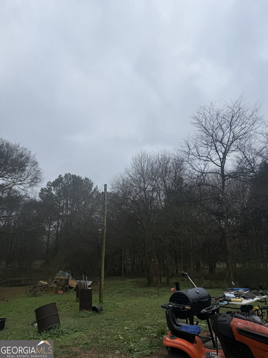 567 Judkin Mill Road Cedartown - Photo 18