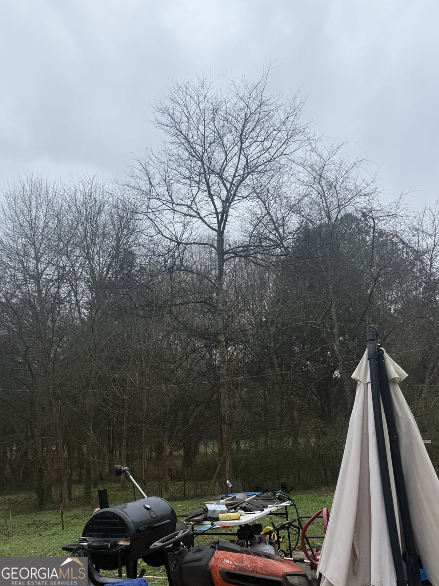 567 Judkin Mill Road Cedartown - Photo 19