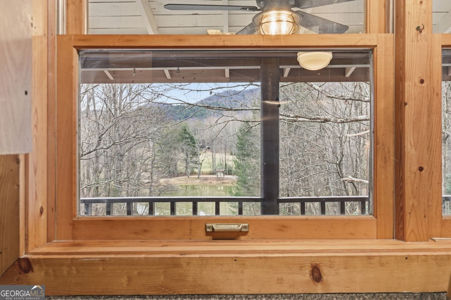 61 Bear Ridge Road Cleveland - Photo 18