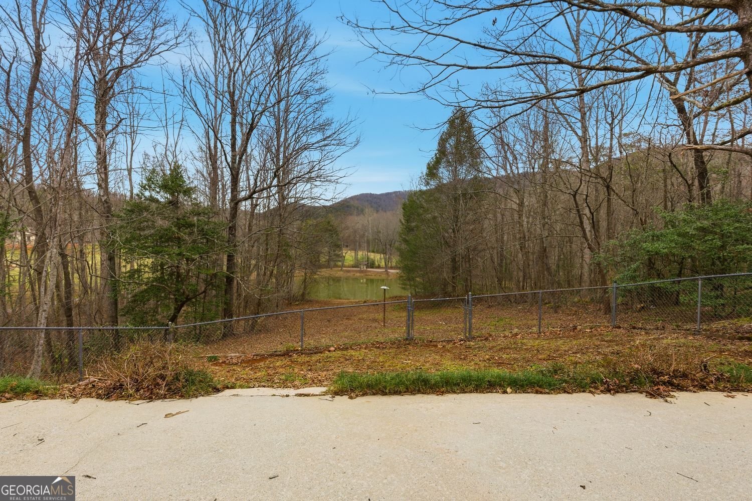 61 Bear Ridge Road Cleveland - Photo 49