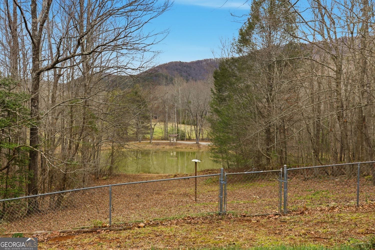 61 Bear Ridge Road Cleveland - Photo 50