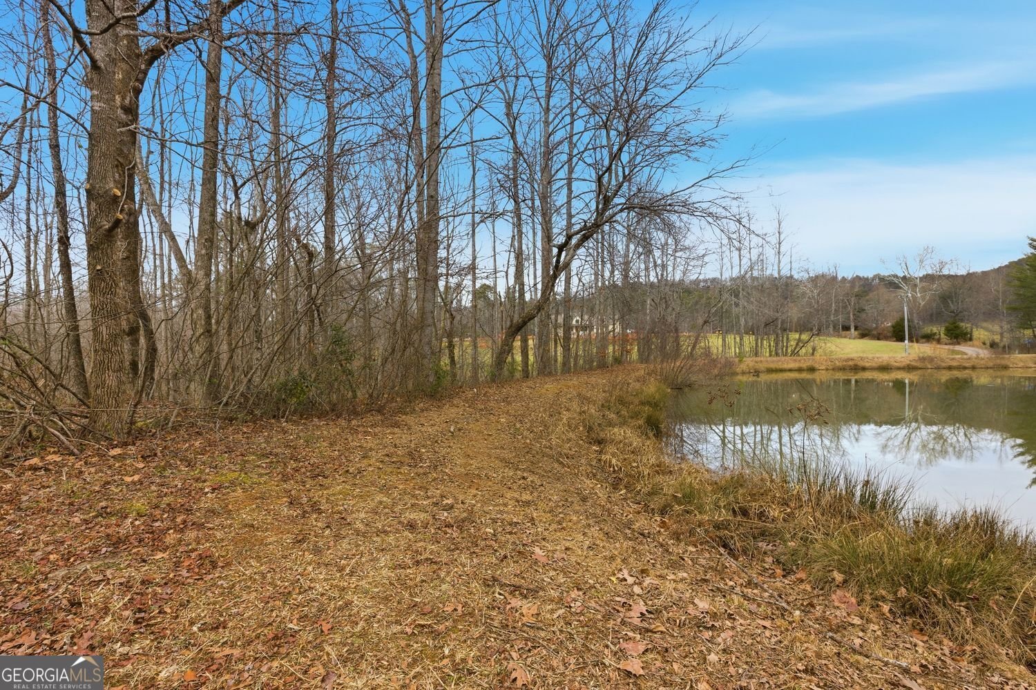 61 Bear Ridge Road Cleveland - Photo 51