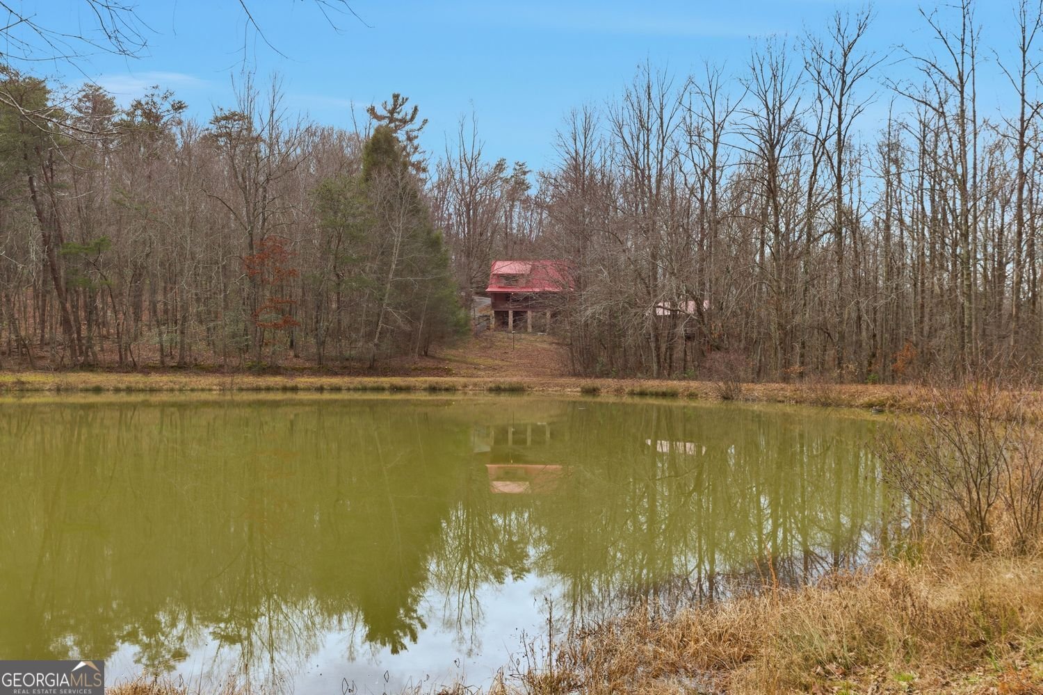 61 Bear Ridge Road Cleveland - Photo 52