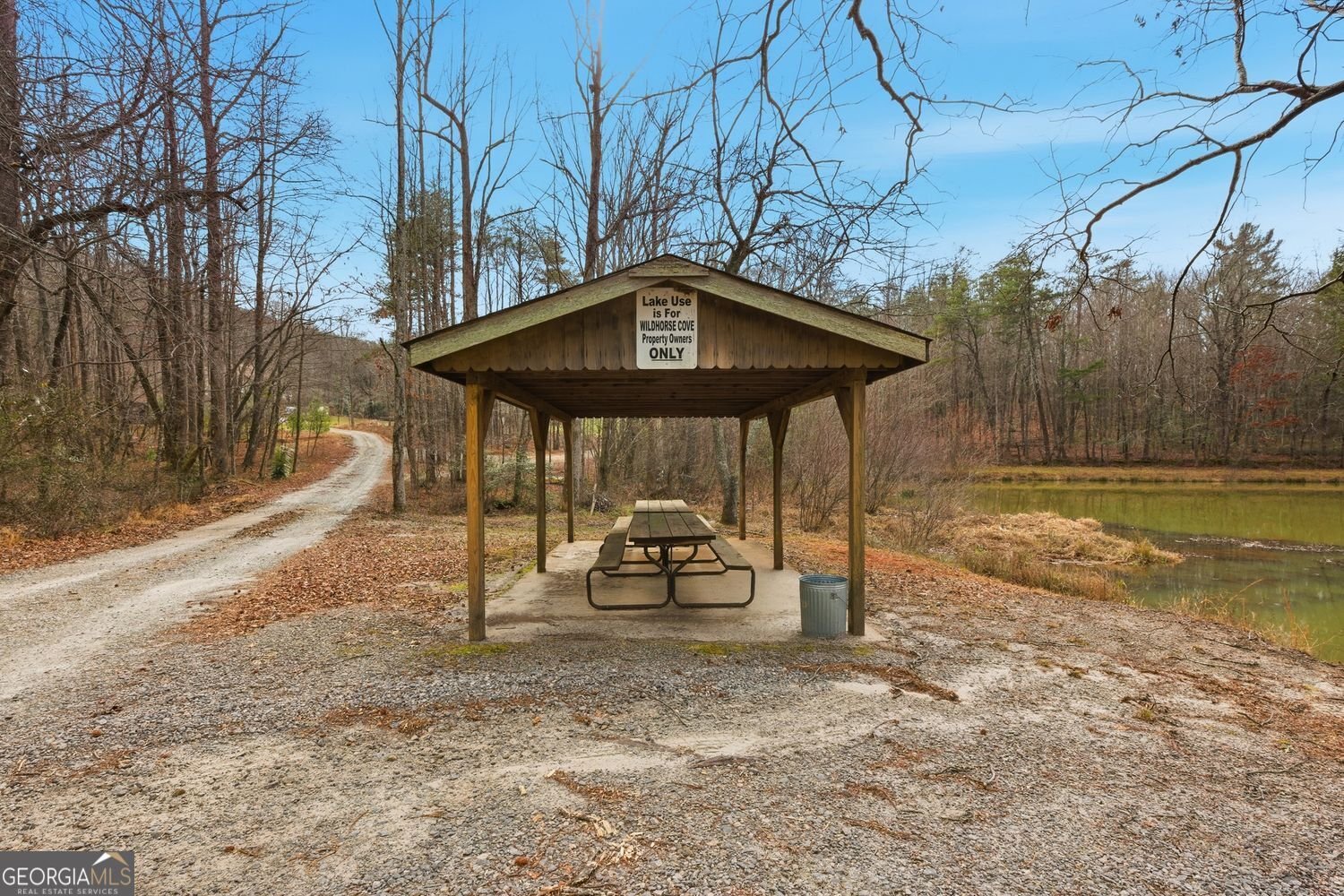 61 Bear Ridge Road Cleveland - Photo 54