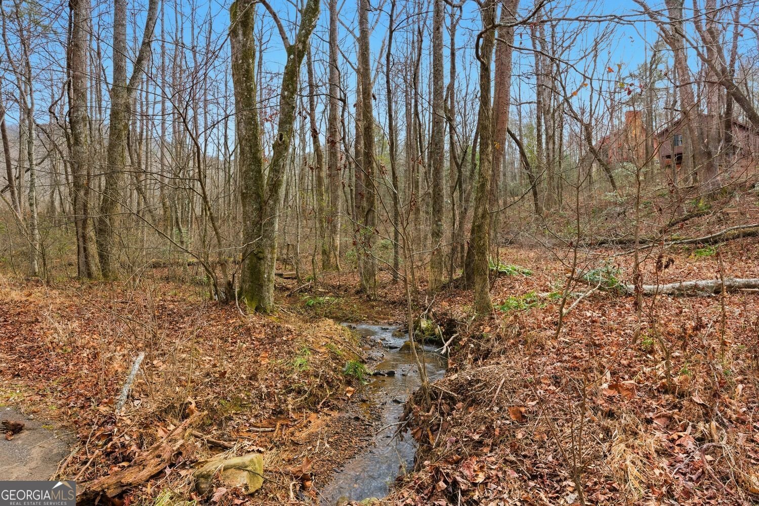 61 Bear Ridge Road Cleveland - Photo 56