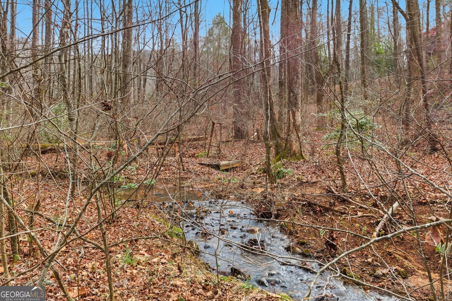 61 Bear Ridge Road Cleveland - Photo 57