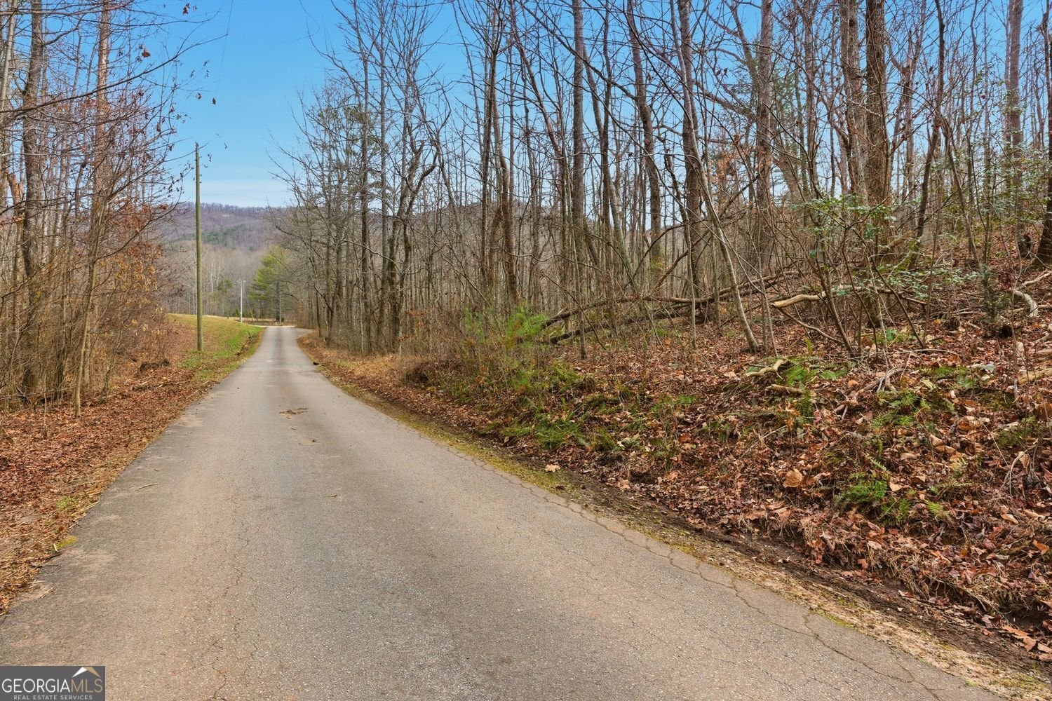 61 Bear Ridge Road Cleveland - Photo 58