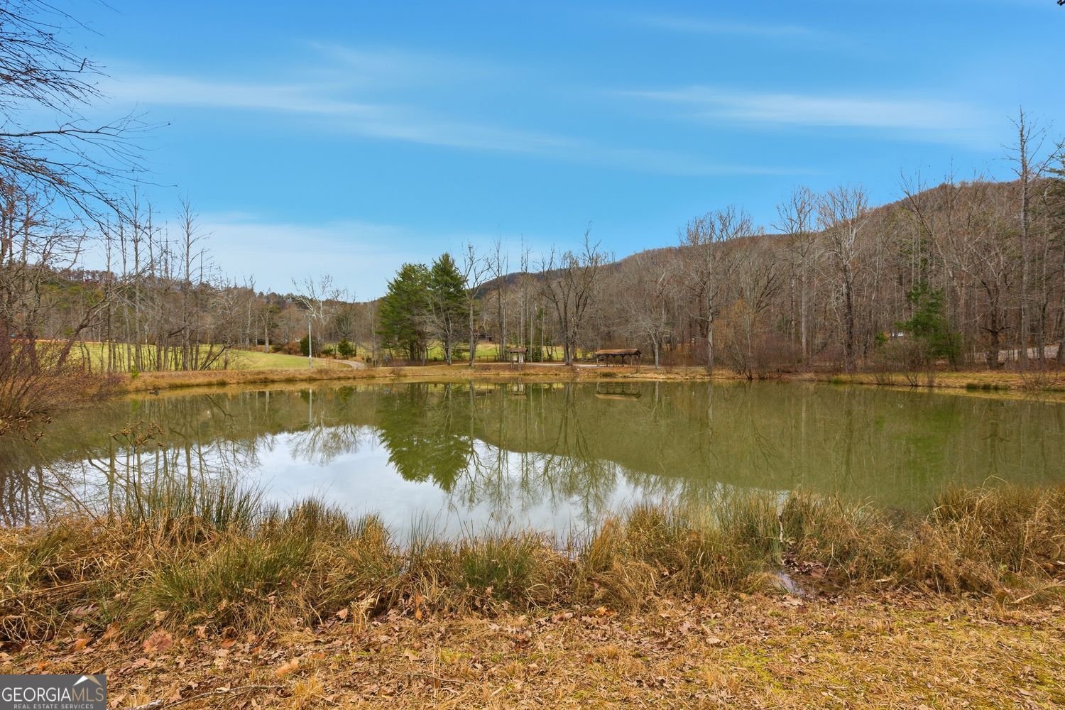 61 Bear Ridge Road Cleveland - Photo 6