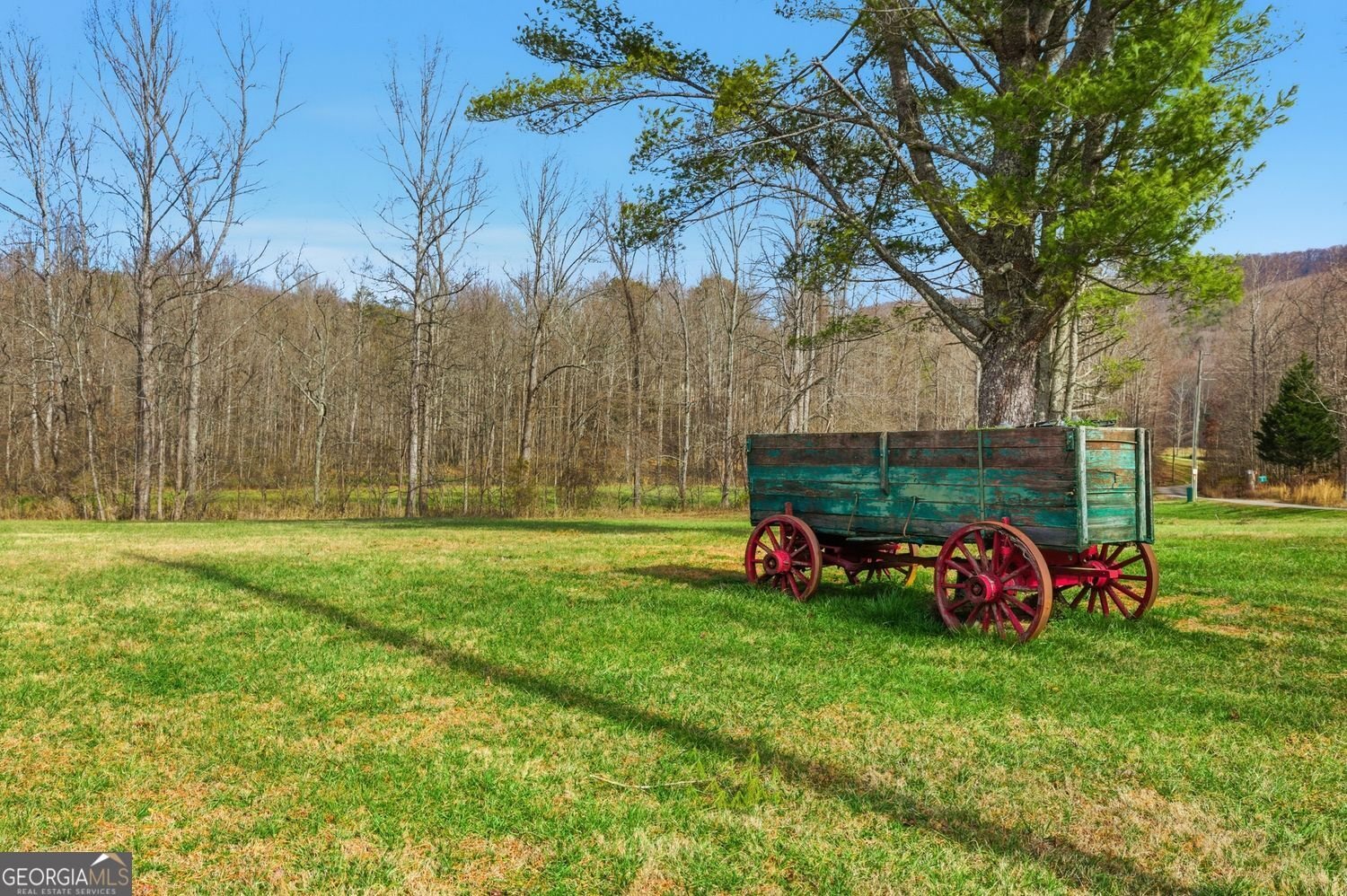 61 Bear Ridge Road Cleveland - Photo 61