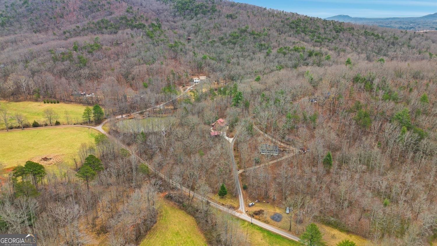 61 Bear Ridge Road Cleveland - Photo 65