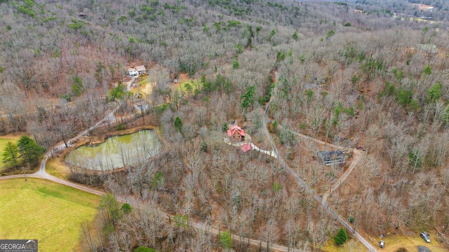 61 Bear Ridge Road Cleveland - Photo 67