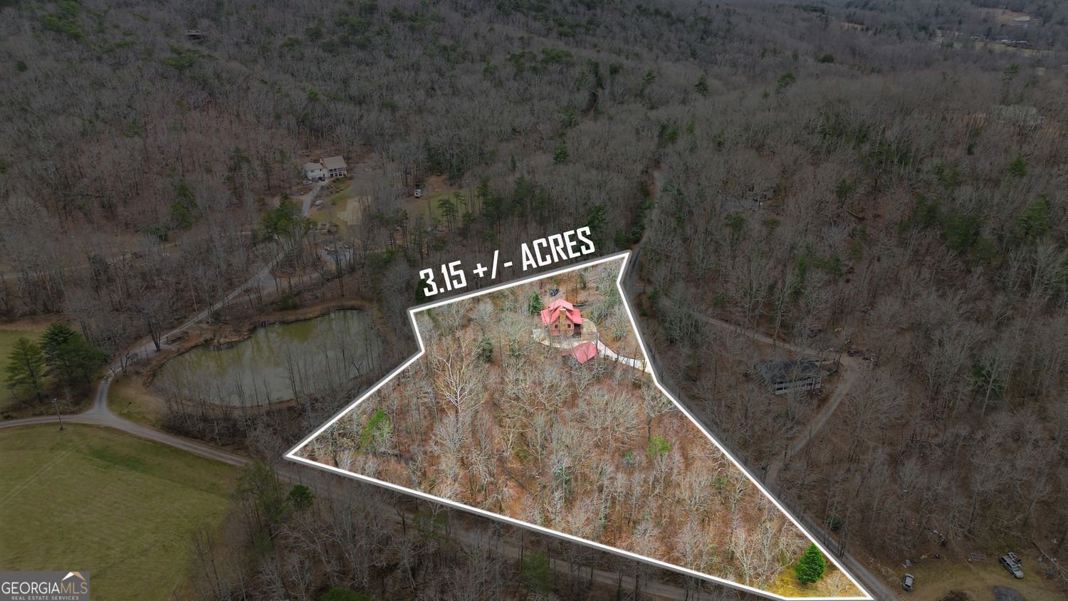 61 Bear Ridge Road Cleveland - Photo 68