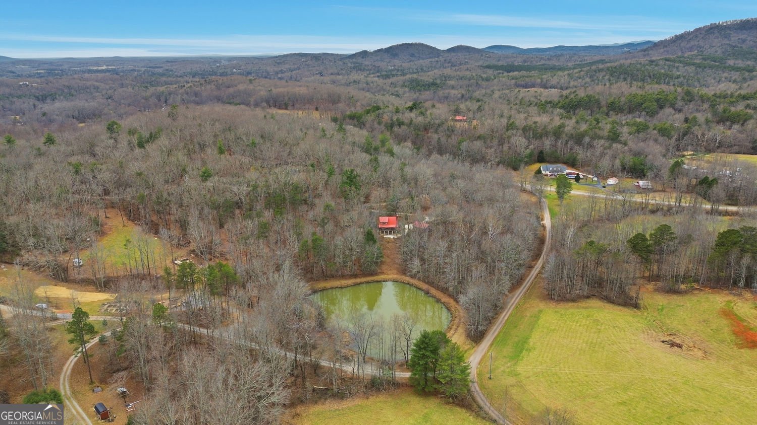 61 Bear Ridge Road Cleveland - Photo 69