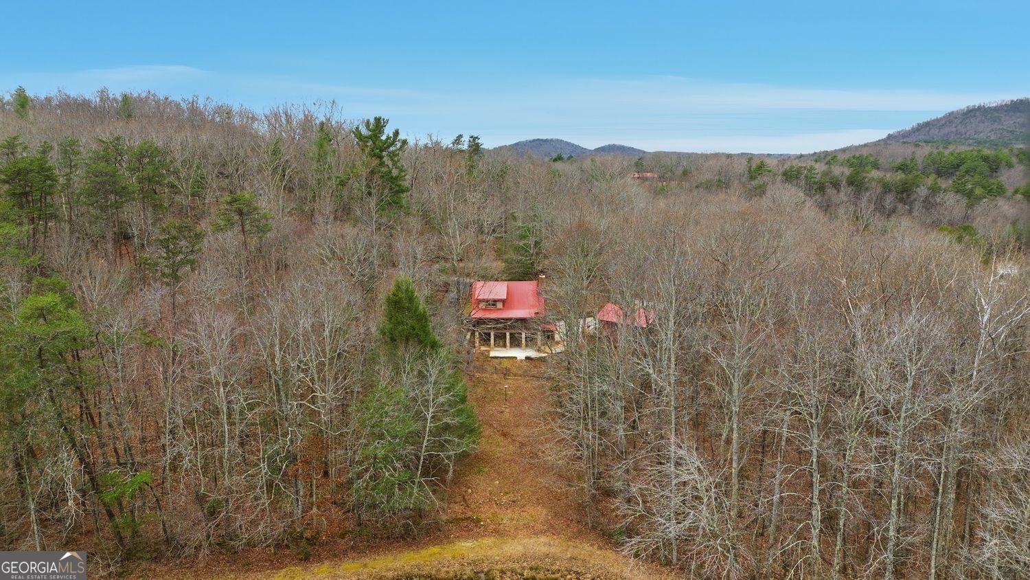 61 Bear Ridge Road Cleveland - Photo 70