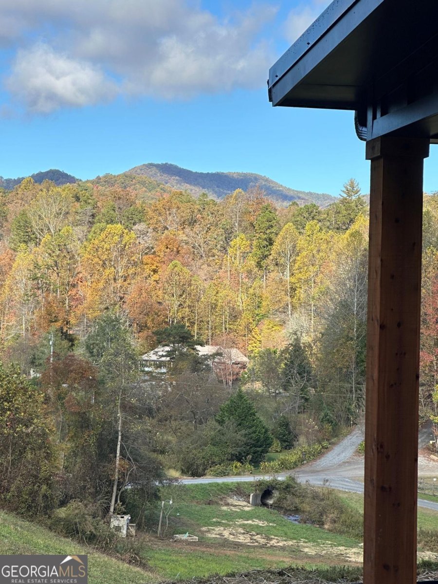 88 Dale Valley Circle Ellijay - Photo 32