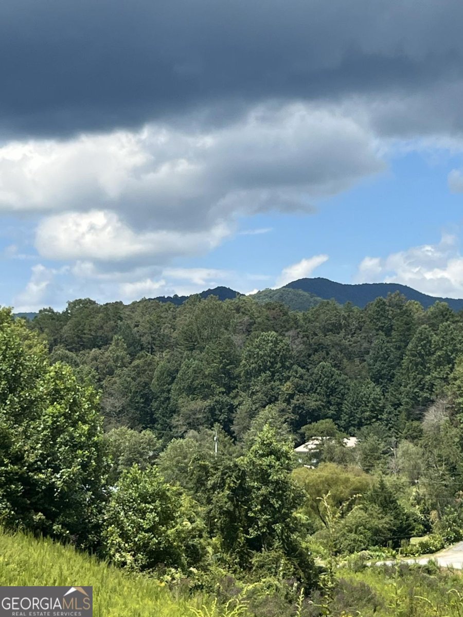 88 Dale Valley Circle Ellijay - Photo 33