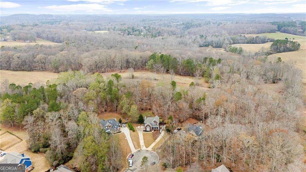 67 Pointer Lane Braselton - Photo 46