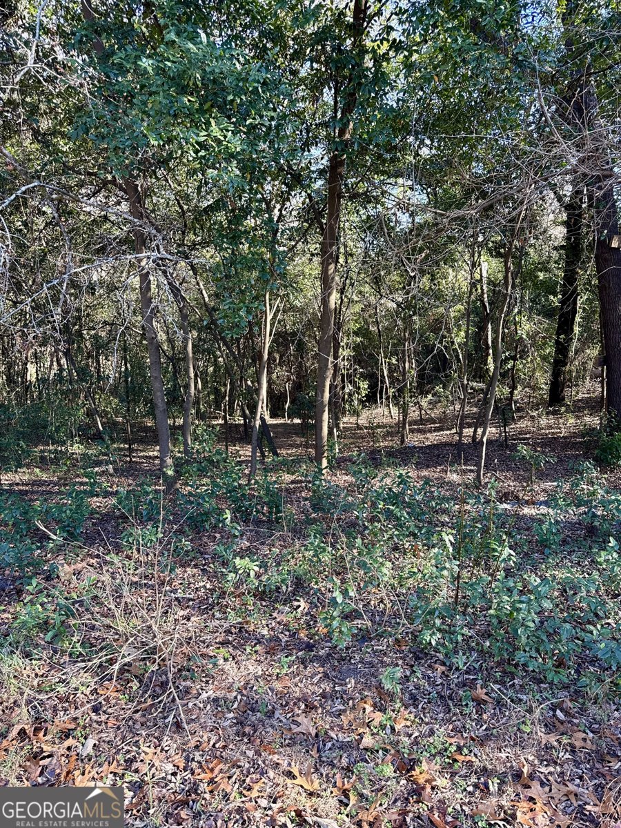 104 Sandy Run Drive Warner Robins - Photo 26