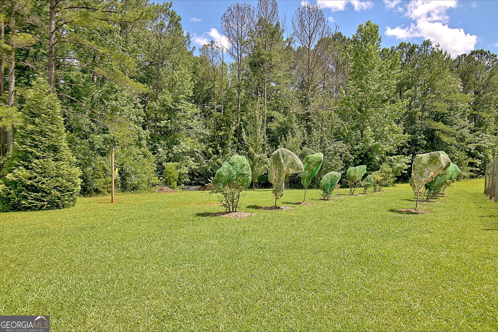 460 Morgan Mill Road Brooks - Photo 19