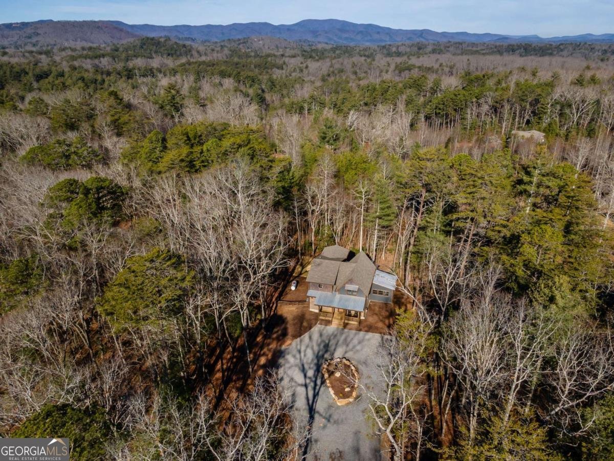 2594 Hwy 2 Blue Ridge - Photo 58