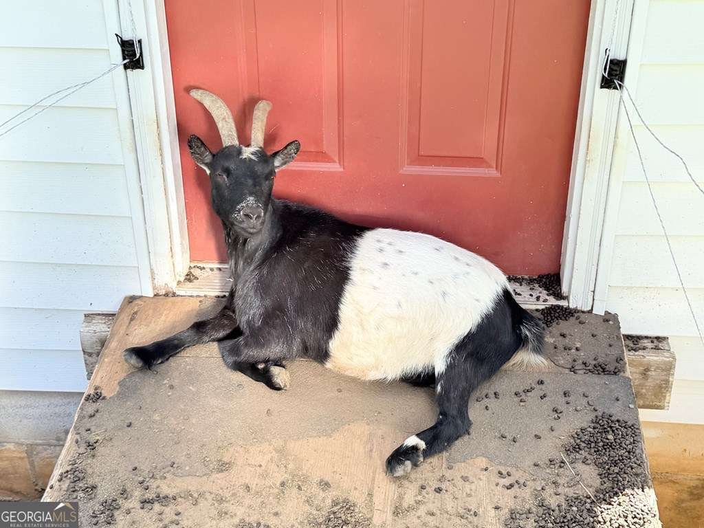 10809 Beaver Dam Road Murphy - Photo 34