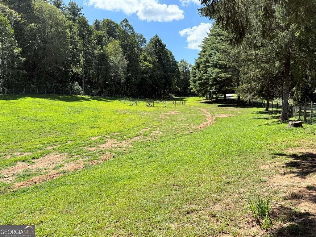 10809 Beaver Dam Road Murphy - Photo 7